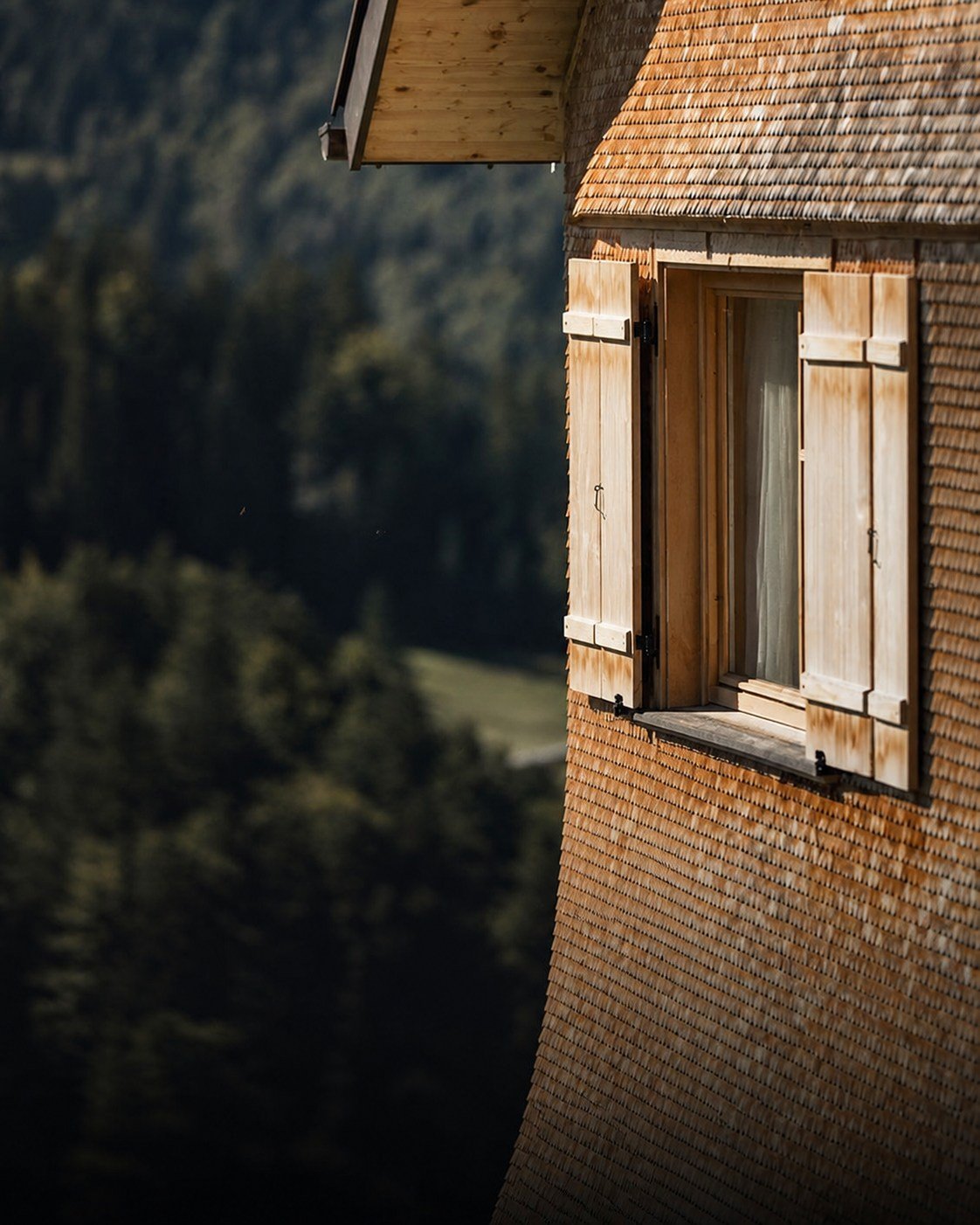 Hotel moderno nel bosco, immagine concettuale